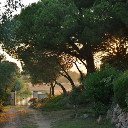 La Barraca De Farena