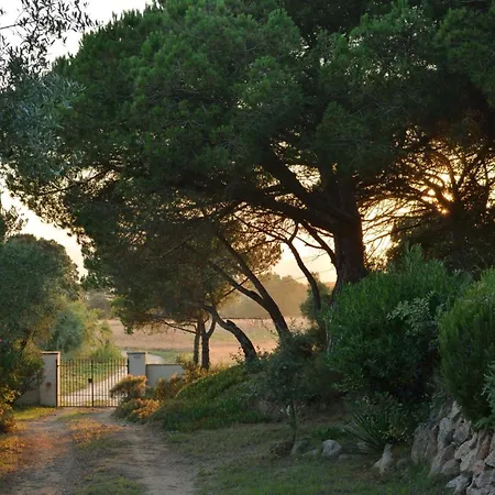 펜션 La Barraca De Farena *