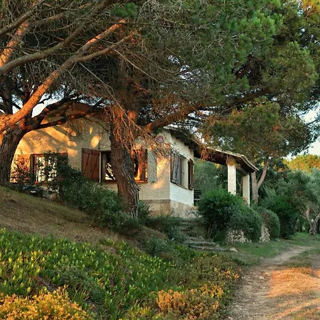 펜션 La Barraca De Farena