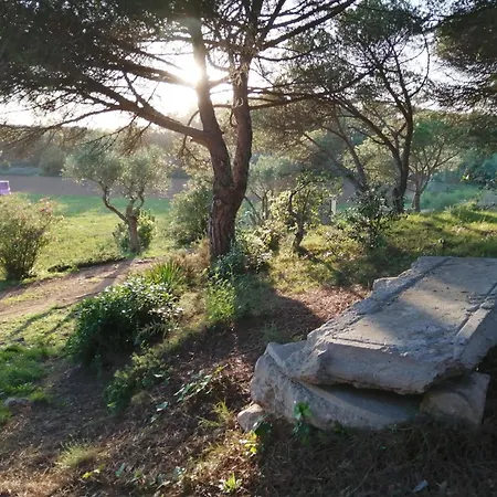 펜션 La Barraca De Farena *