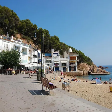 La Barraca De Farena * 팔라프루헬