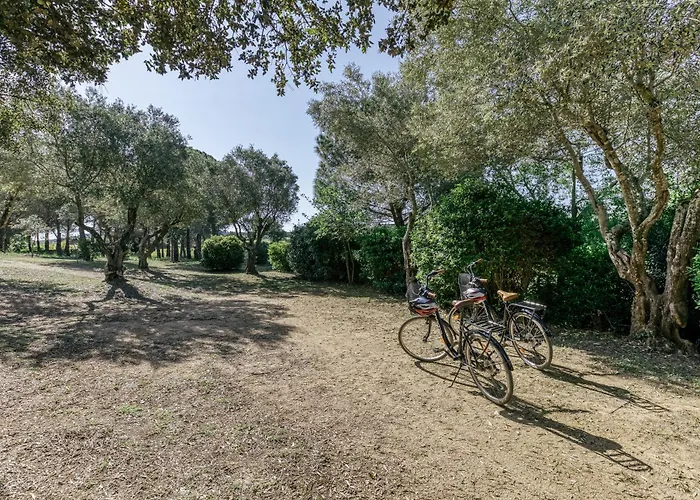 La Barraca De Farena Semesterbostad