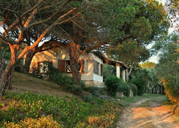 La Barraca De Farena *