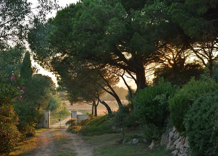 La Barraca De Farena